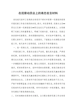 在巡察动员会上的表态发言材料.docx