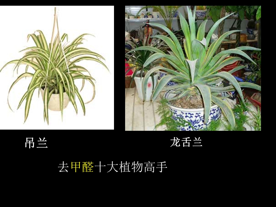 醛公开课课件.ppt_第3页