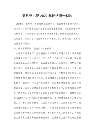 某县委书记2022年述法报告材料.docx