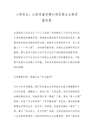 心得体会：以高质量党建引领民营企业高质量发展.docx