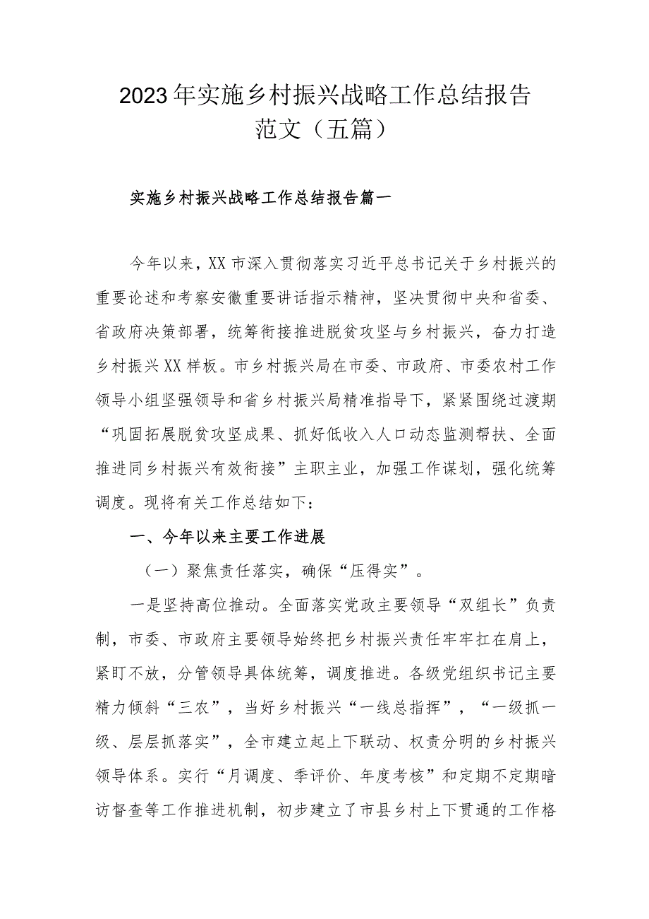 2023年实施乡村振兴战略工作总结报告范文（五篇）.docx_第1页