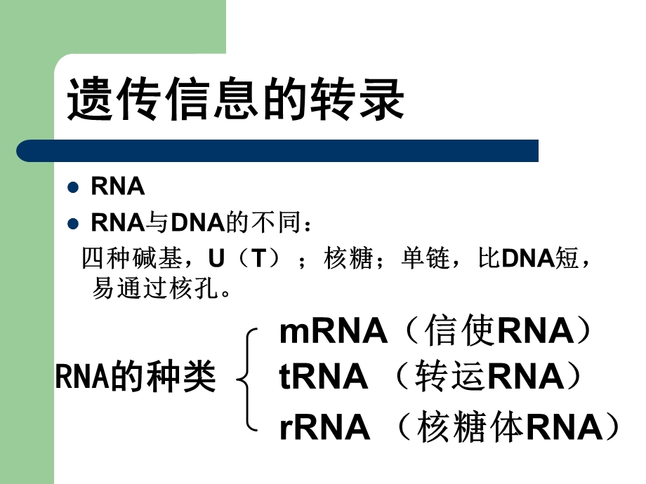 转录和翻译1.ppt_第2页