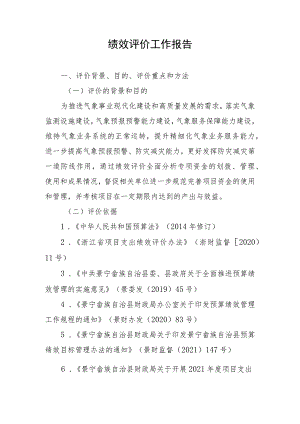 绩效评价工作报告.docx