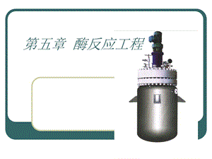 酶动力学和酶反应器.ppt