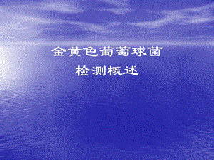 金黄色葡萄球菌.ppt