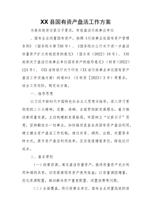 XX县国有资产盘活工作方案.docx