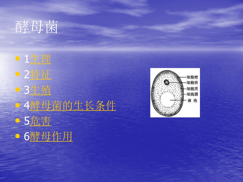 酵母菌学生.ppt_第1页