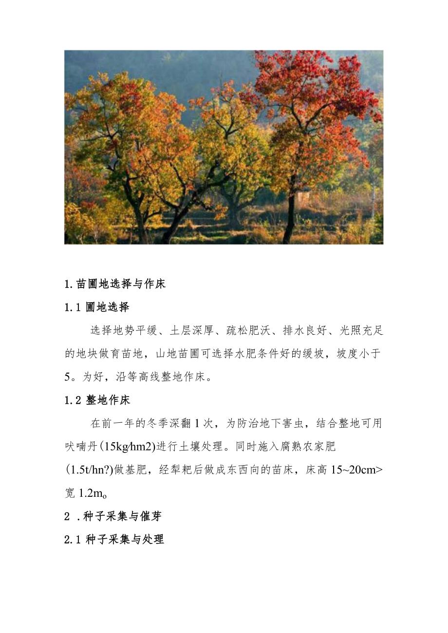 NaN3诱变乌桕技术.docx_第2页