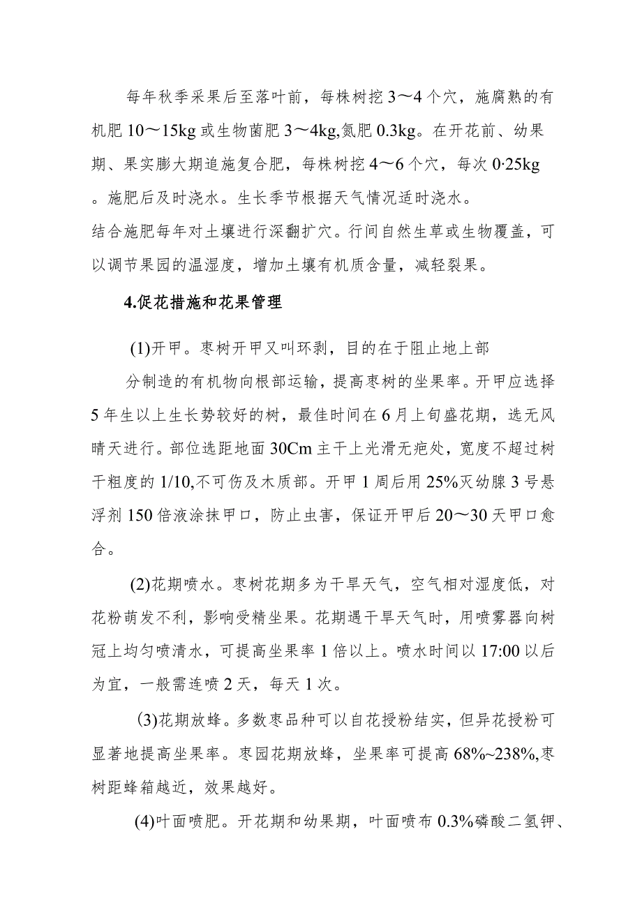 红丹脆枣高效栽培管理技术.docx_第3页