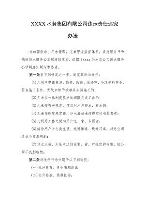 水务集团有限公司违示责任追究办法.docx