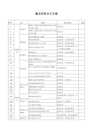 重点任务分工方案.docx