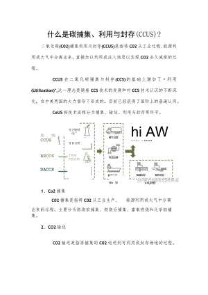 什么是碳捕集、利用与封存（CCUS）.docx