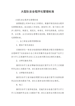 大型队安全程序化管理标准.docx