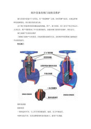 制冷设备的阀门故障及维护.docx