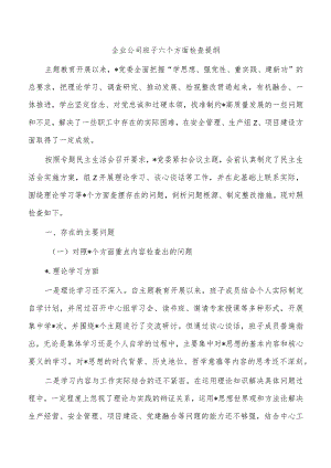 企业公司班子六个方面检查提纲.docx