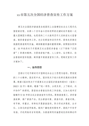 xx市第五次全国经济普查宣传工作方案.docx