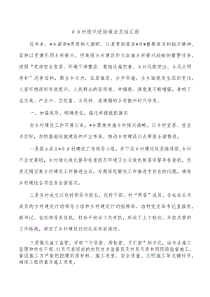 乡乡村振兴经验做法总结汇报.docx