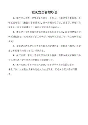 分管安全工作副校长职责.docx