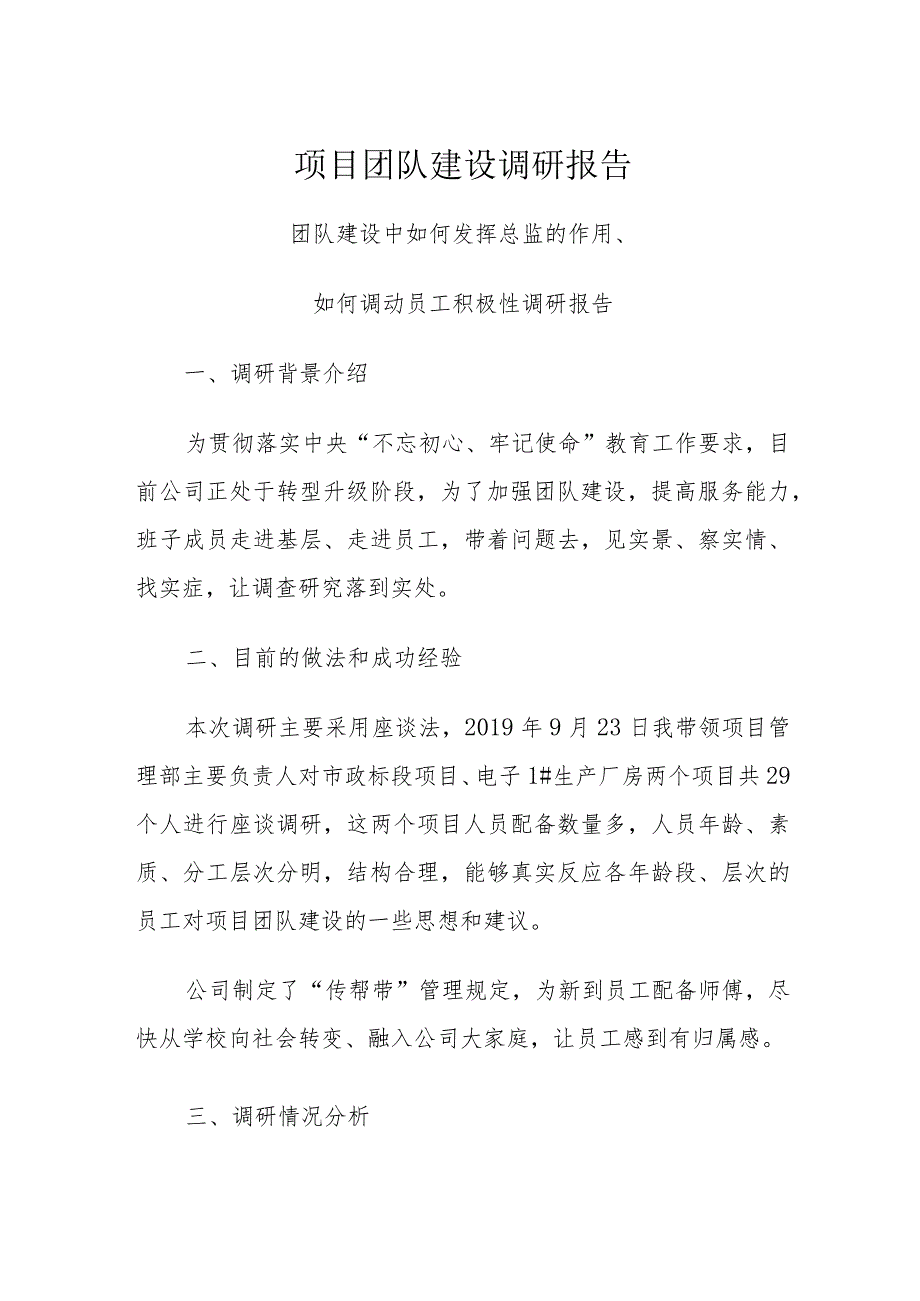 项目团队建设调研报告.docx_第1页