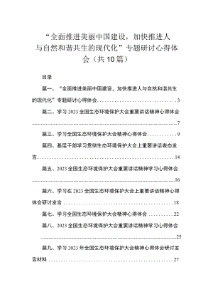 “全面推进美丽中国建设加快推进人与自然和谐共生的现代化”专题研讨心得体会（共10篇）.docx