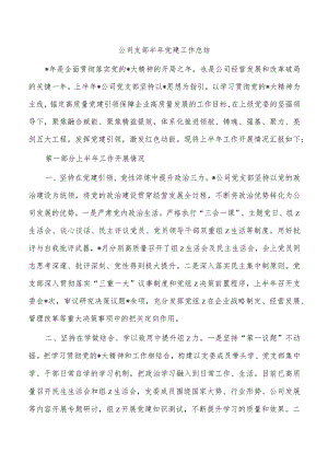 公司支部半年党建工作总结.docx