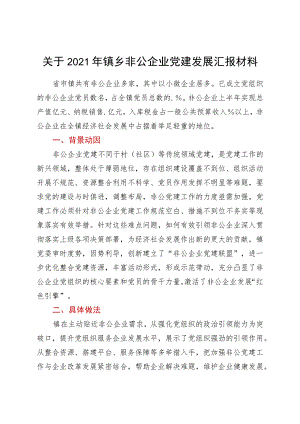 关于2021年镇乡非公企业党建发展汇报材料.docx