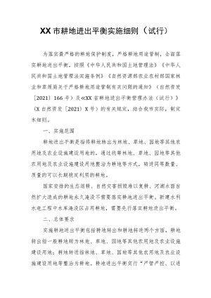 XX市耕地进出平衡实施细则 .docx