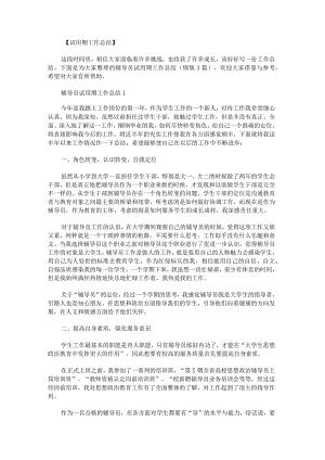 辅导员试用期工作总结锦集.docx