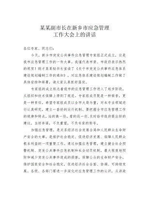 某某副市长在新乡市应急管理工作大会上的讲话.docx