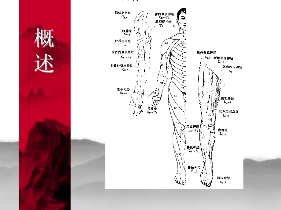 颈椎病肩周炎腰腿痛康复.ppt_第3页