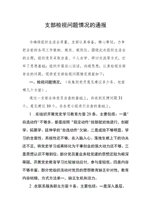 支部检视问题情况的通报.docx