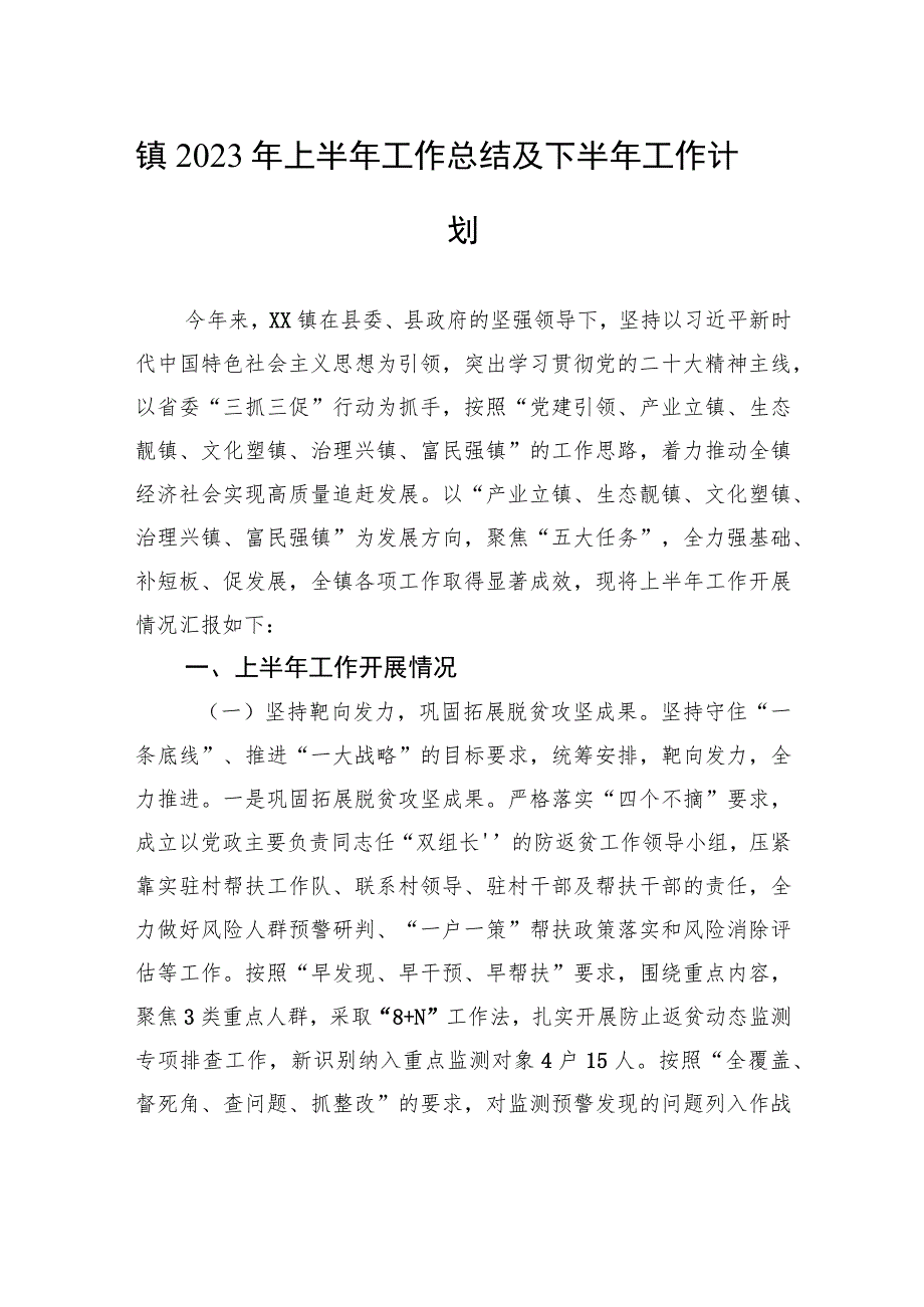 镇2023年上半年工作总结及下半年工作计划（20230913）.docx_第1页