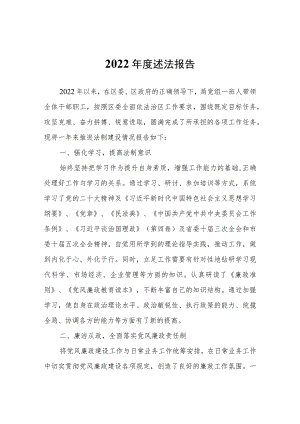 2022年度述法报告.docx