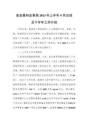 县发展和改革局2023年上半年工作总结及下半年工作计划.docx