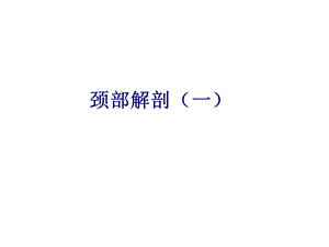 颈部人体解剖.ppt