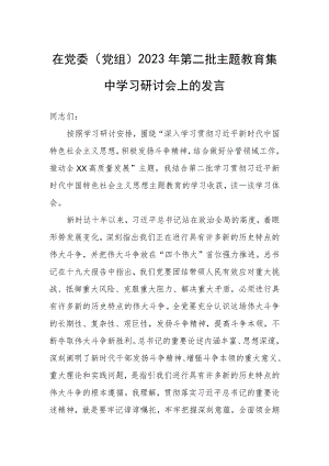 在党委（党组）2023年第二批主题教育集中学习研讨会上的发言.docx