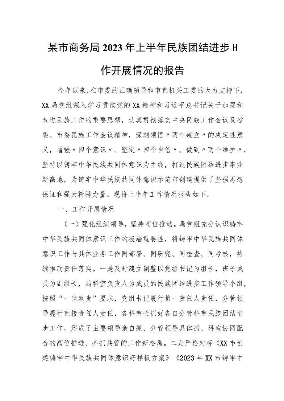 某市商务局2023年上半年民族团结进步工作开展情况的报告.docx_第1页