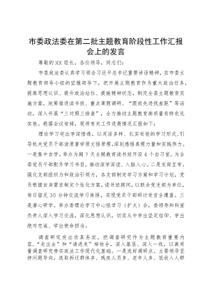 市委政法委在第二批主题教育阶段性工作汇报会上的发言.docx