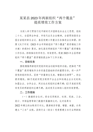 某某县2023 年两新组织“两个覆盖”提质增效工作方案.docx