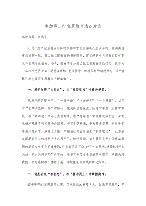 参加第二批主题教育表态发言.docx