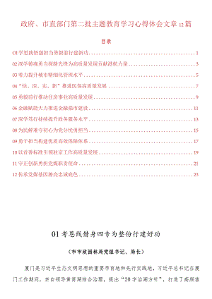 政府、市直部门第二批主题教育学习心得体会文章12篇.docx