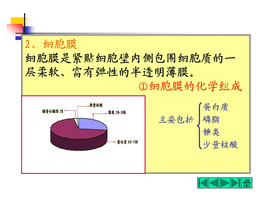 青霉素的作用.ppt_第2页