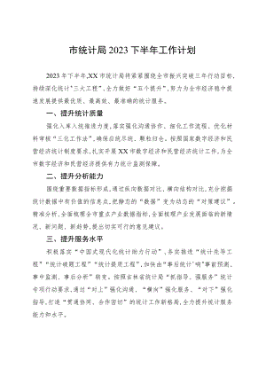 市统计局2023下半年工作计划.docx