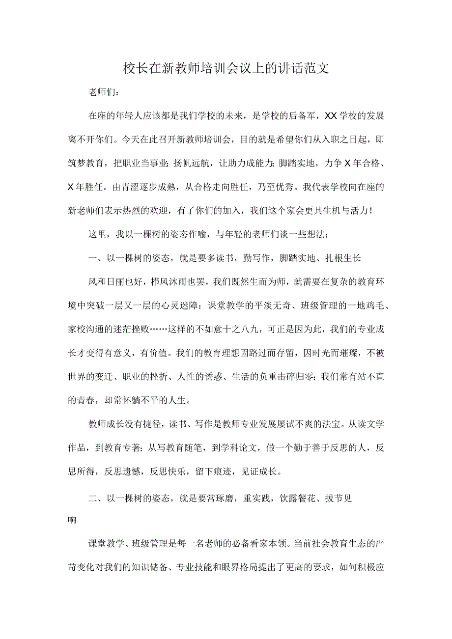 校长在新教师培训会议上的讲话范文.docx_第1页