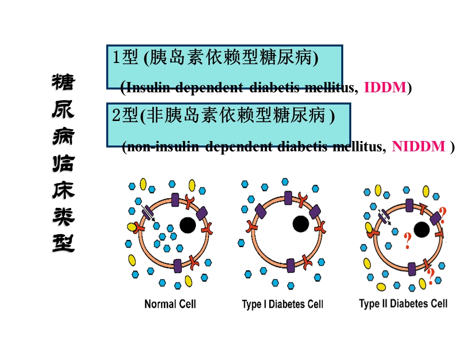 降血糖药大全.ppt_第3页