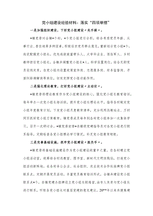 党小组建设经验材料：落实“四项举措”.docx