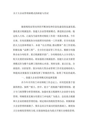 关于大企业管理新模式的探索与尝试.docx