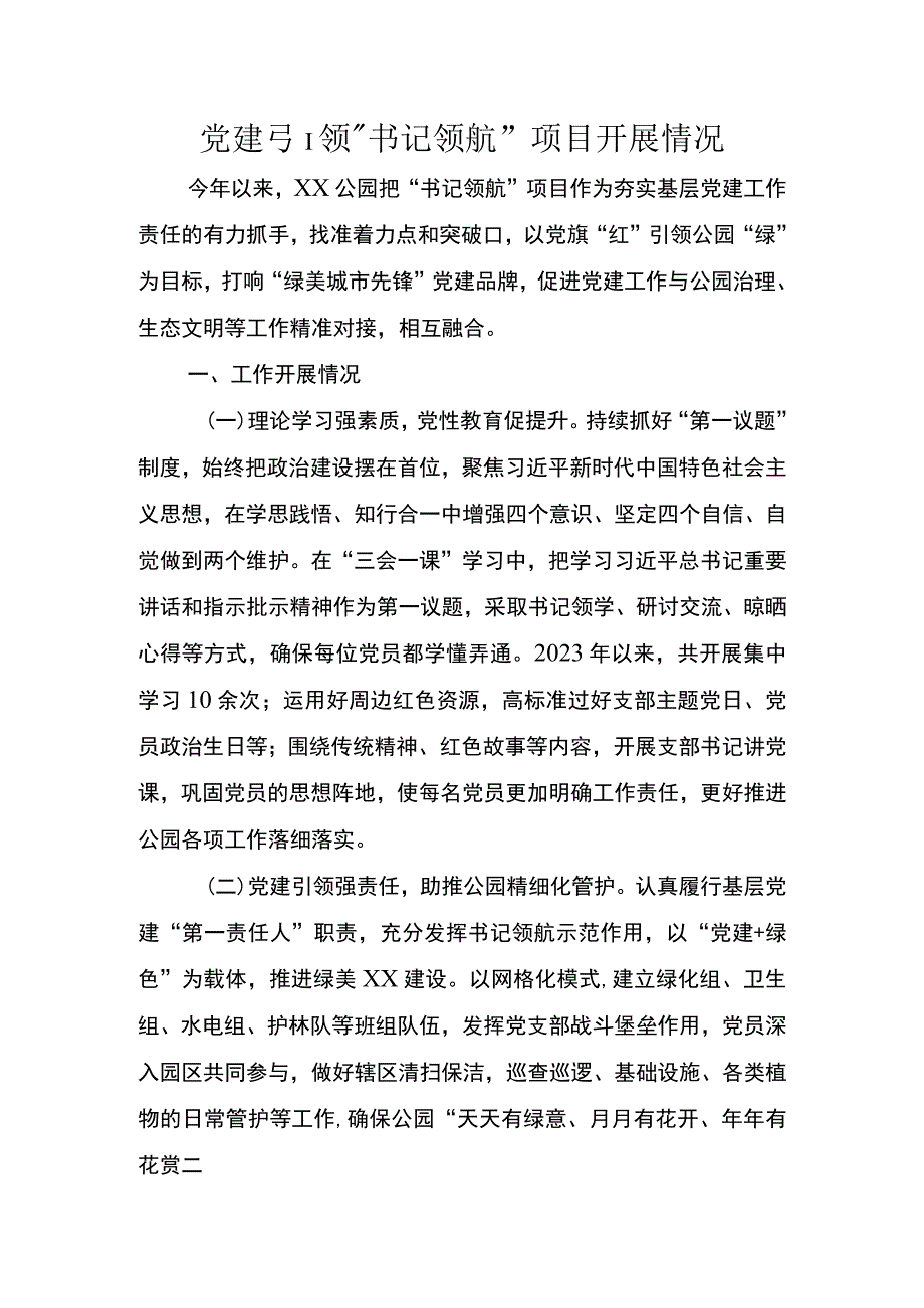 党建引领“书记领航”项目开展情况.docx_第1页