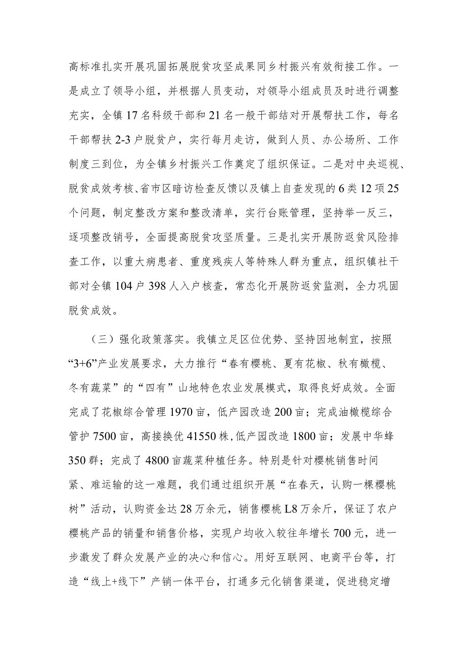 乡镇行乡村振兴工作第一责任人职责情况报告(二篇).docx_第2页