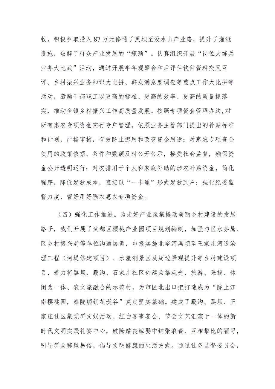 乡镇行乡村振兴工作第一责任人职责情况报告(二篇).docx_第3页